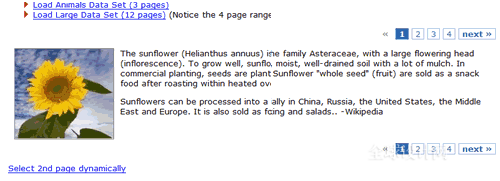 19个交互式网站设计用的Ajax脚本